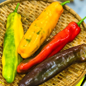 Ớt ngọt