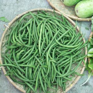 Đậu cove Nhật (đậu que)